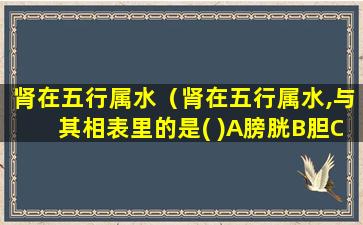 肾在五行属水（肾在五行属水,与其相表里的是( )A膀胱B胆C胃D小肠E耳）